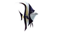 Gill in Finding Nemo (Image via Hotstar)